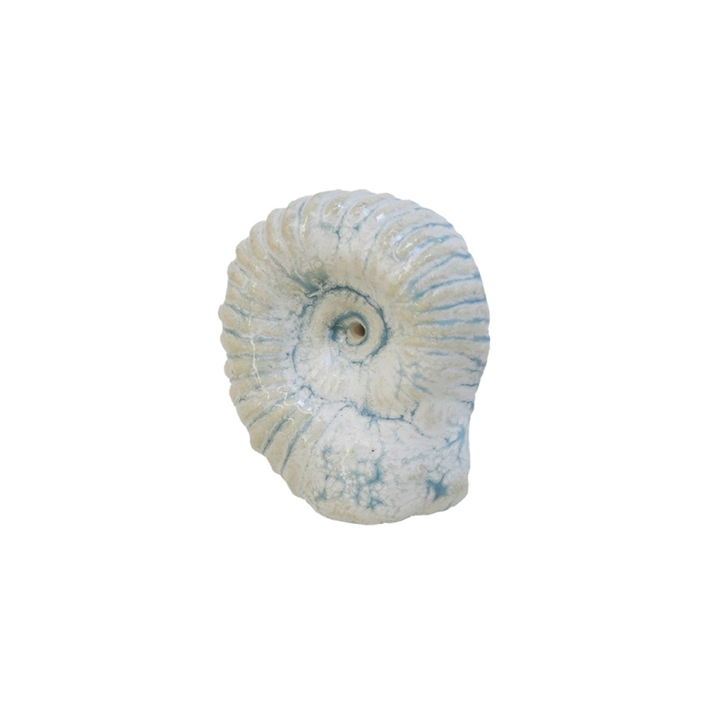 Ammonite Incense holder