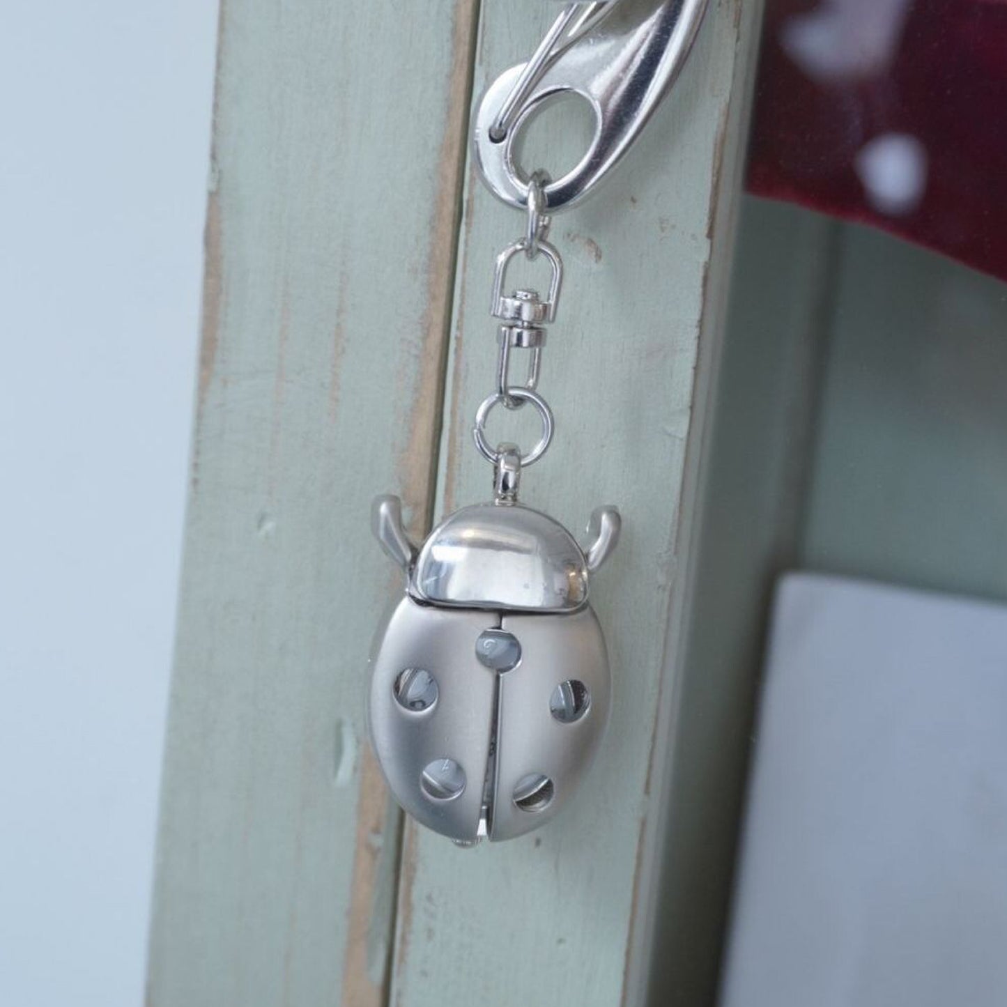 Ladybug Keyring