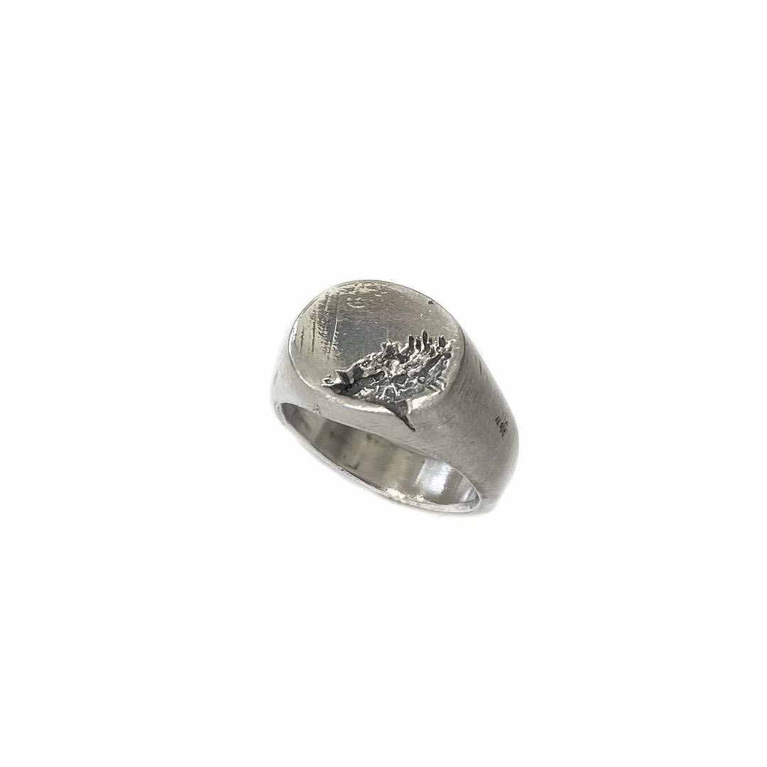 Glossy Crack Ring
