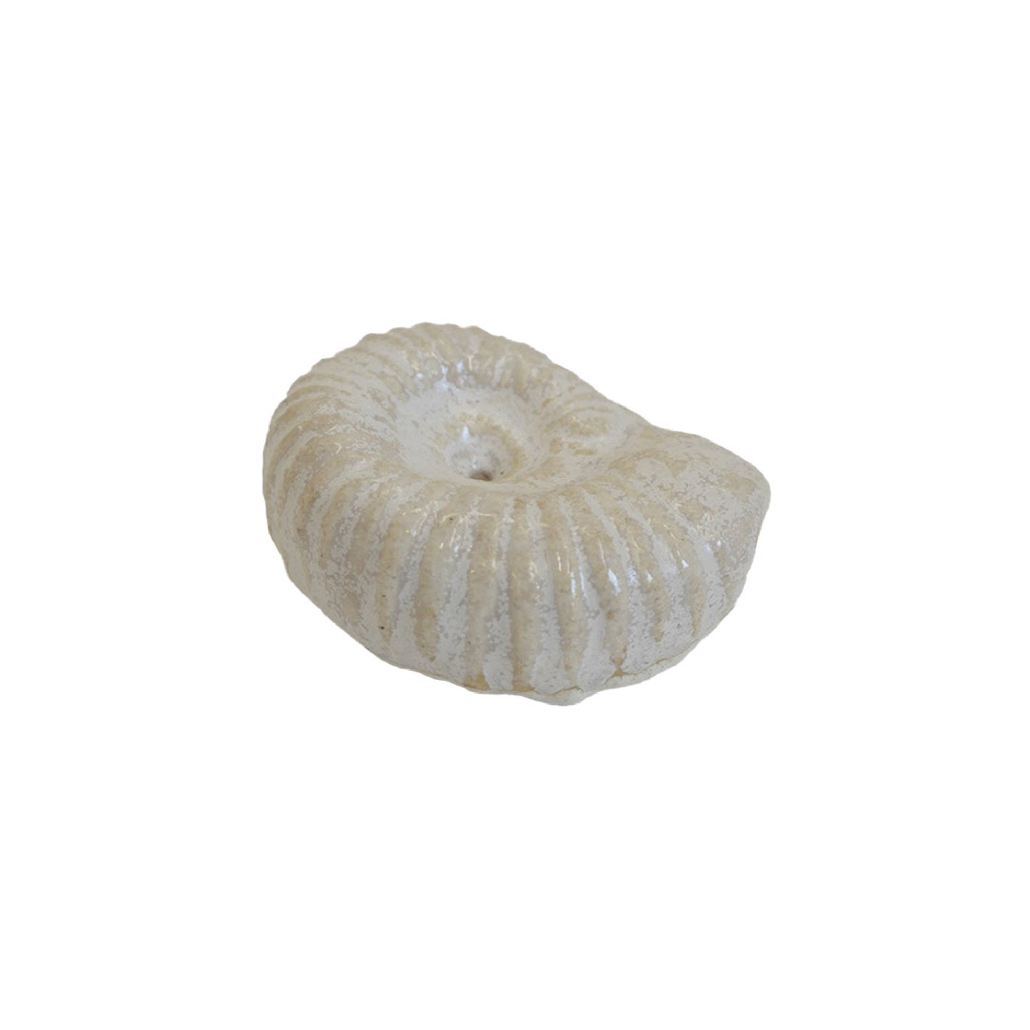 Ammonite Incense holder