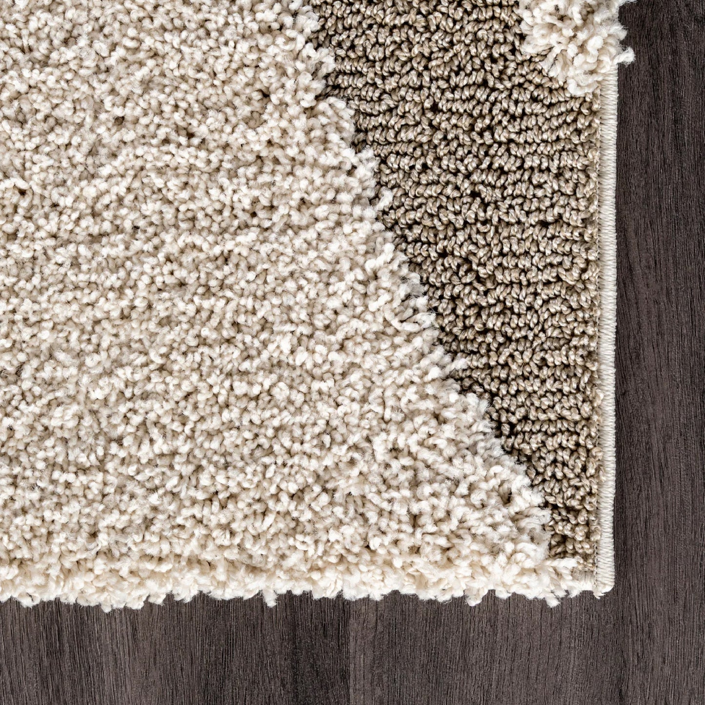 Shaggy Curves Rug