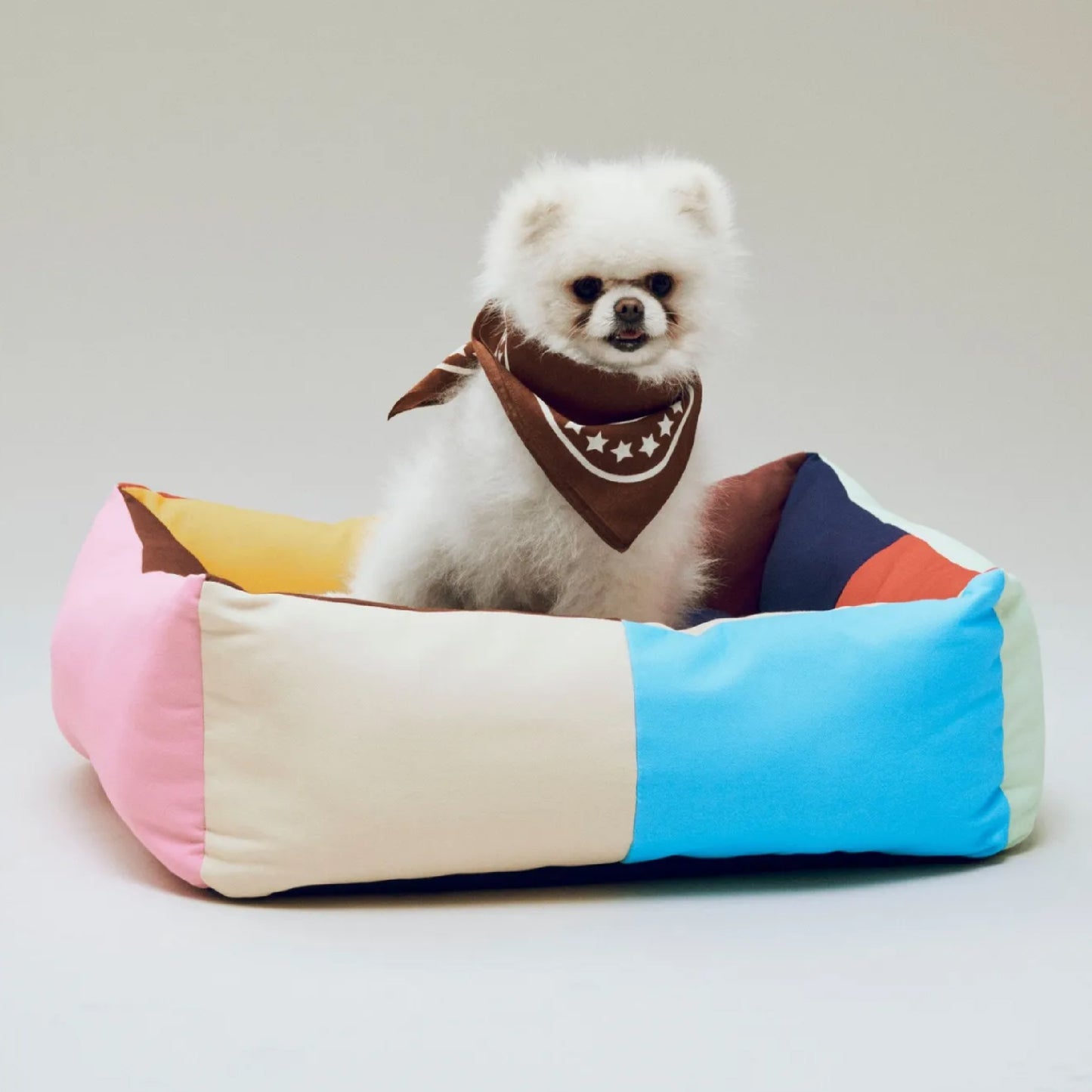Dog bandana