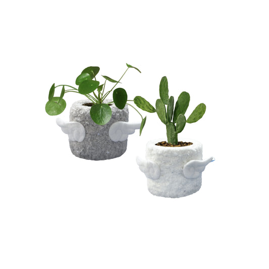 Fuzzy pot_Angel
