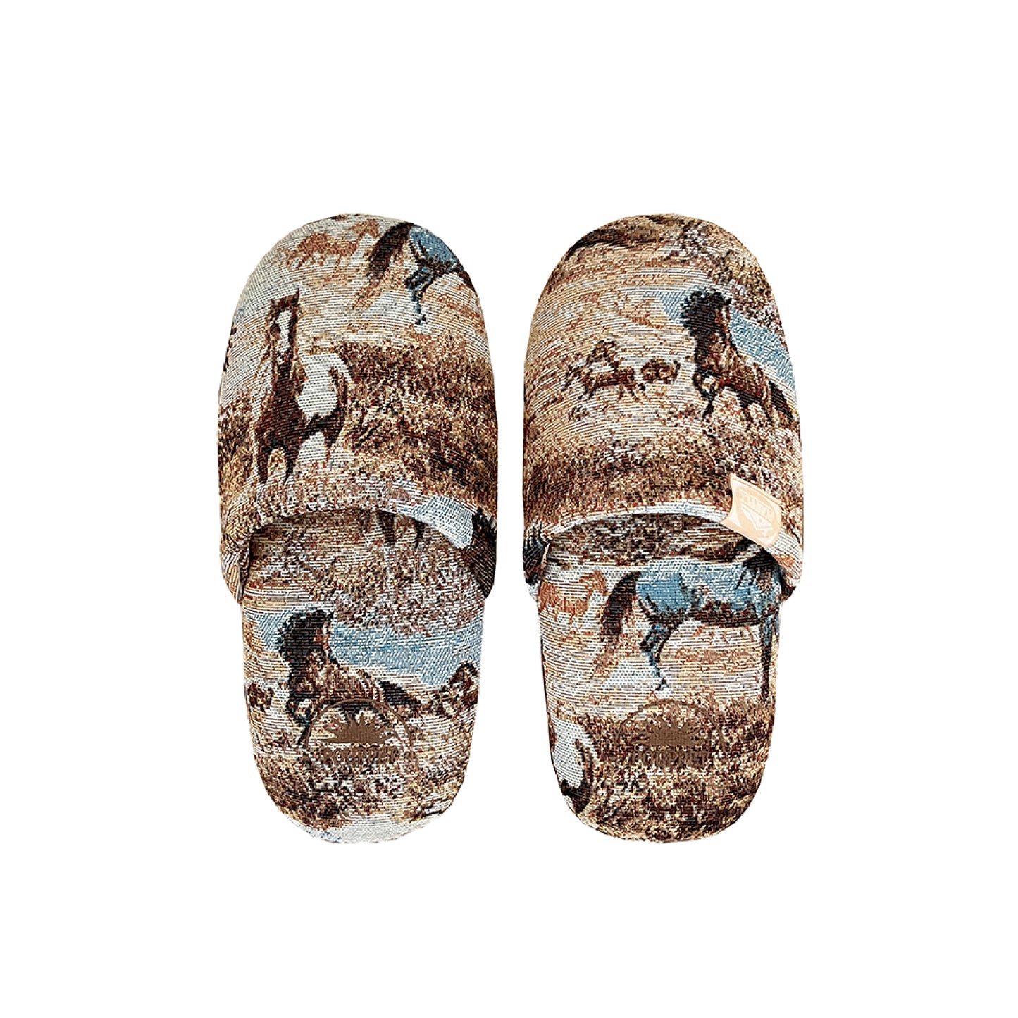 Wild Horse Room Shoes