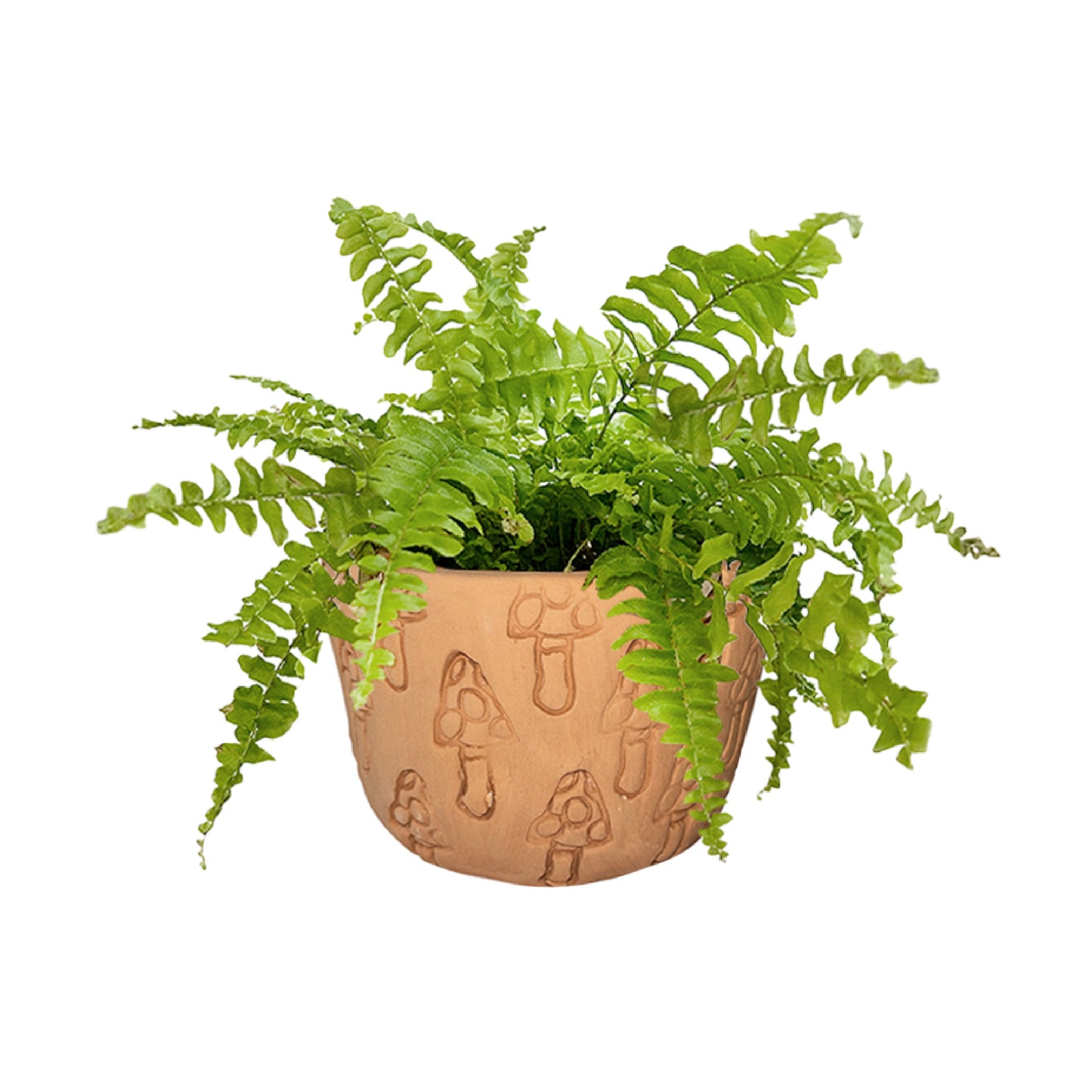 Brown mushroom pot